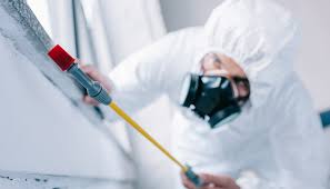 Best Pest Control for Multi-Family Homes  in Princeton, TX